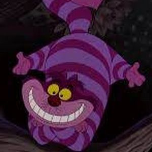 Meet your Posher, Naomi